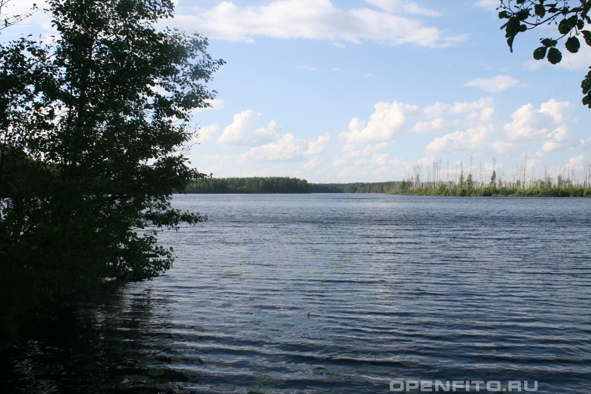 Озеро Поныхарь