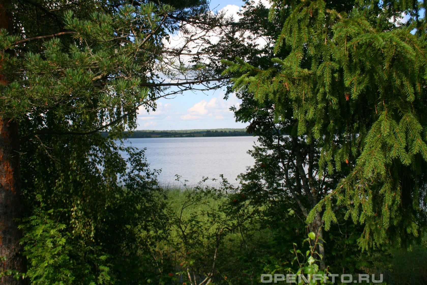 Озеро Кубенское