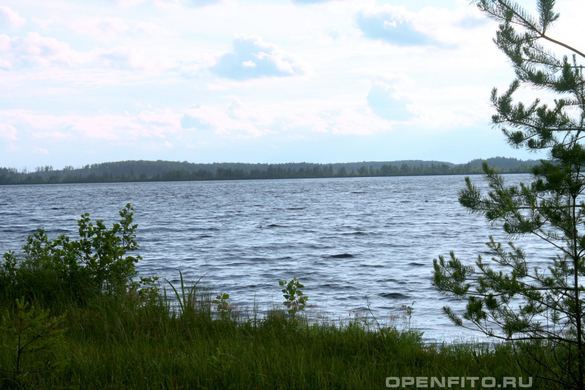 Озеро Богоявленское