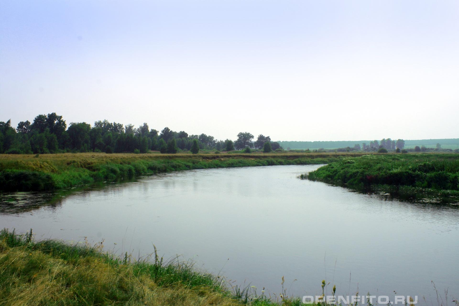 Река Уводь село Меховицы Савинского района Ивановской области
