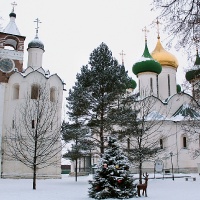 фото Спасо-Евфимиев монастырь