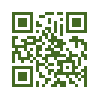 QR код со ссылкой на Бурачок средний
