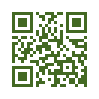 QR код со ссылкой на Желтушник шершавый