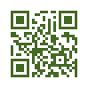 QR код со ссылкой на Ферула гигантская