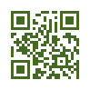 QR код со ссылкой на Лизея бумажная