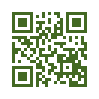 QR код со ссылкой на Пентанема растопыренная