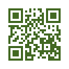 QR код со ссылкой на Рододендрон японский желтый