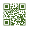 QR код со ссылкой на Коровяк огненный